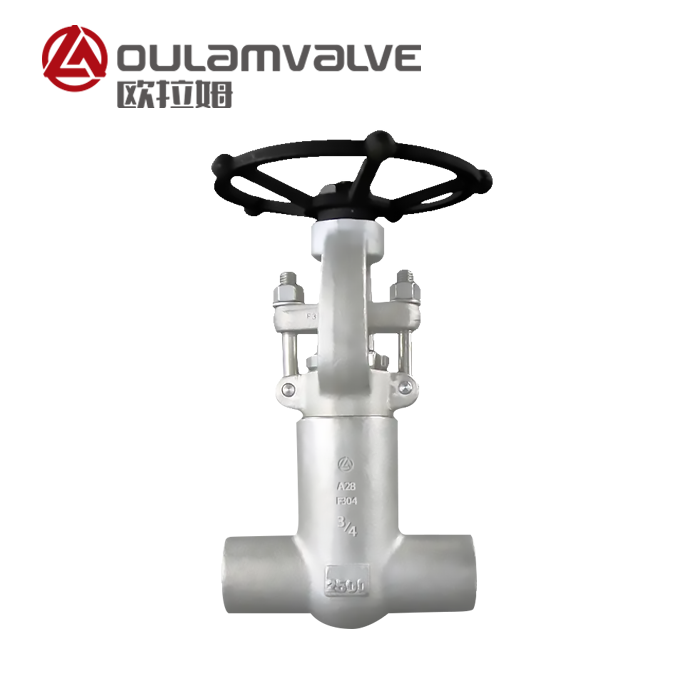 高壓閘閥PZ61Y_加氫精制裝置_閘閥